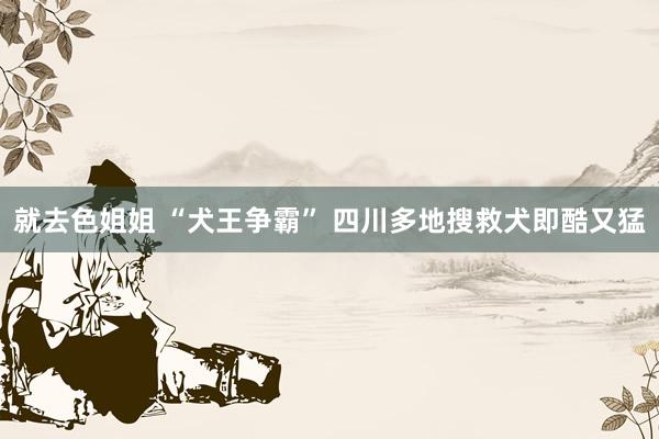 就去色姐姐 “犬王争霸” 四川多地搜救犬即酷又猛