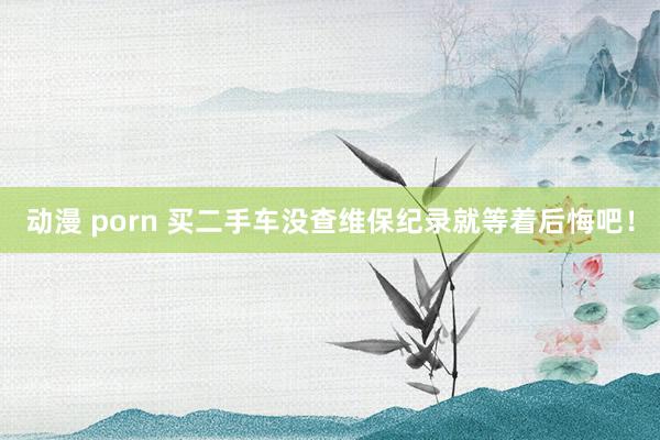 动漫 porn 买二手车没查维保纪录就等着后悔吧！