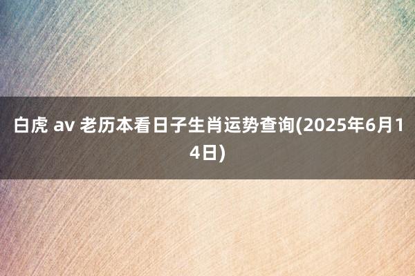 白虎 av 老历本看日子生肖运势查询(2025年6月14日)