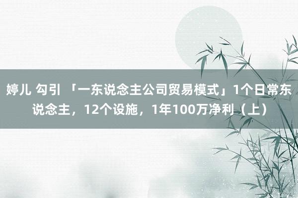 婷儿 勾引 「一东说念主公司贸易模式」1个日常东说念主，12个设施，1年100万净利（上）